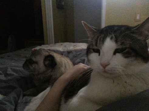 Our post-hospital cuddle-fest.