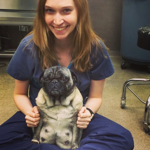 Tulip's first day at the clinic