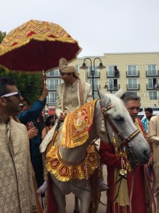 Riding in on the horse.